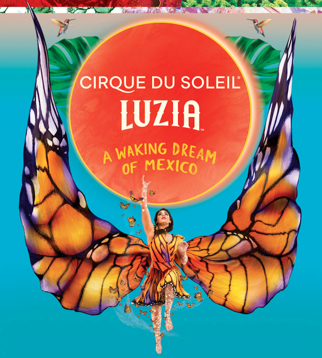 Cirque du Soleil LUZIA Adelaide Showground 930 Jun 2024 Cat